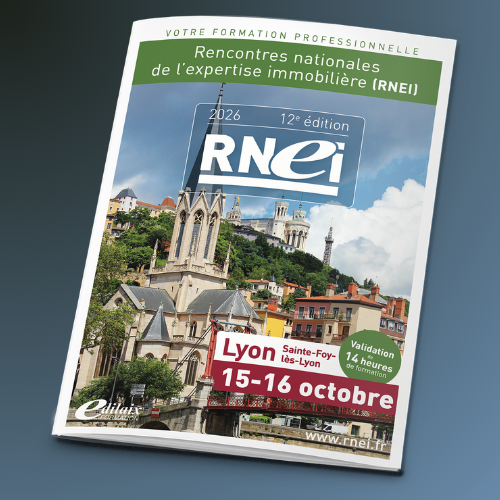 Programme RNEI 2026 Lyon – expertise immobilière