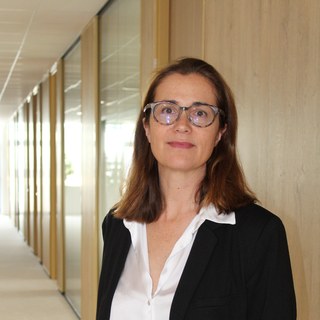 Hélène Vieilledent, Responsable Perval
